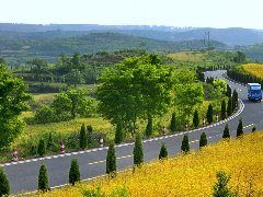 迁入户口不等于集体经济组织成员