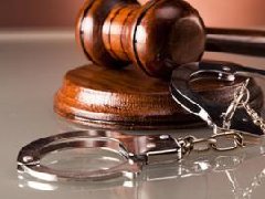 2017年度人民法院十大刑事案件